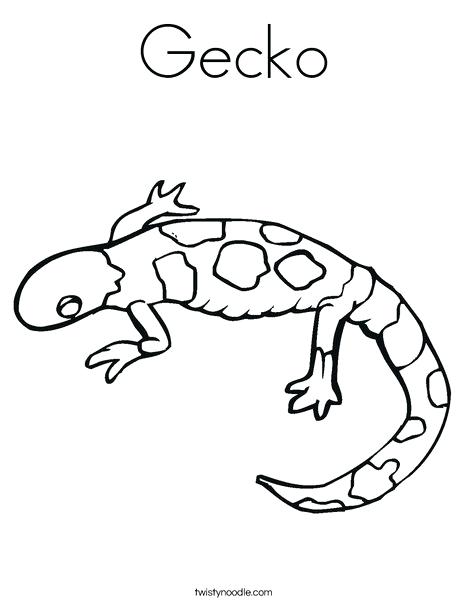 468x605 Top Rated Gecko Coloring Page Pictures