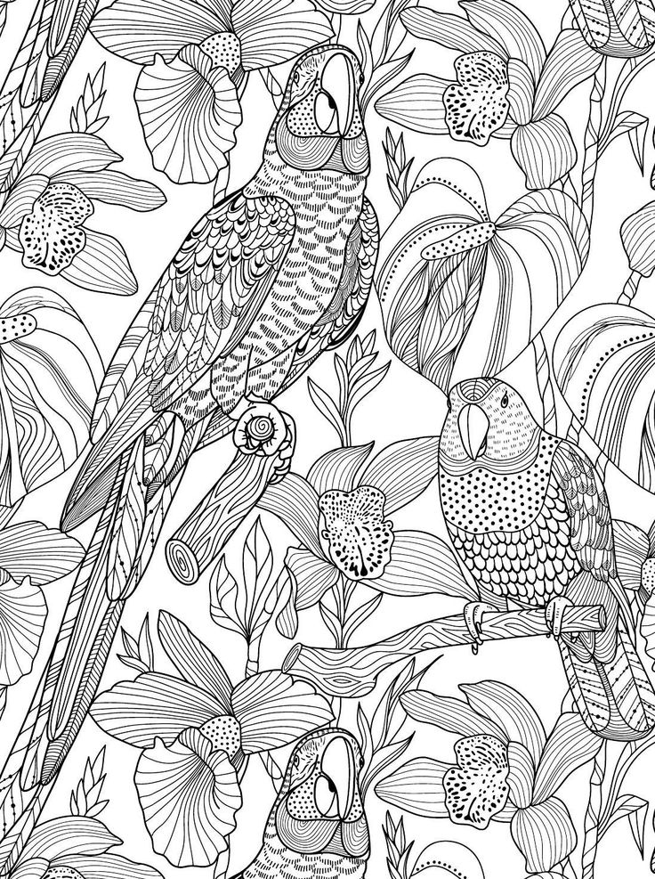 736x987 2279 Best Coloring Pages Images On Coloring Books
