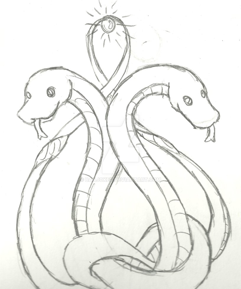 816x979 Gemini Snakes By Banjoker