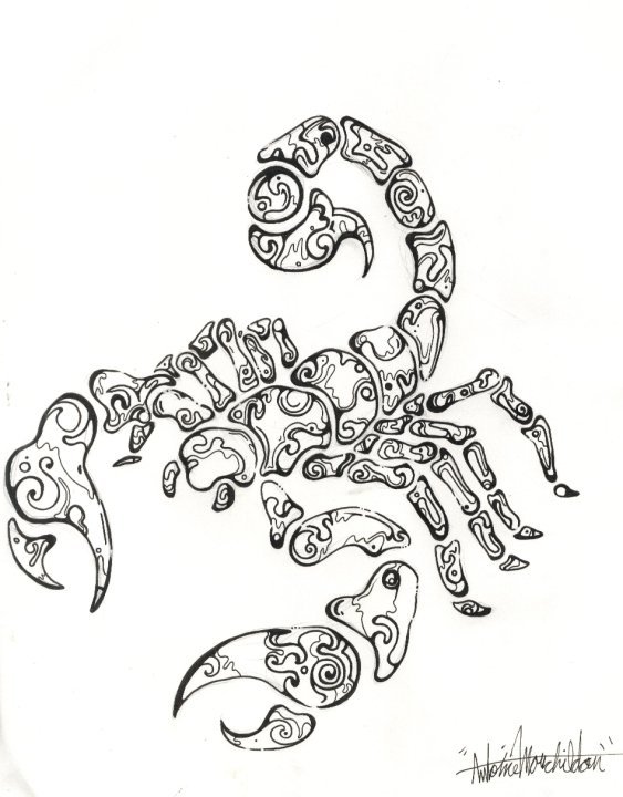 563x720 Scorpio And Gemini Tattoo Drawing