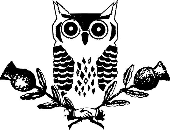 564x432 Sewing And Leatherworking Classes Owl Amp Thistle General Store