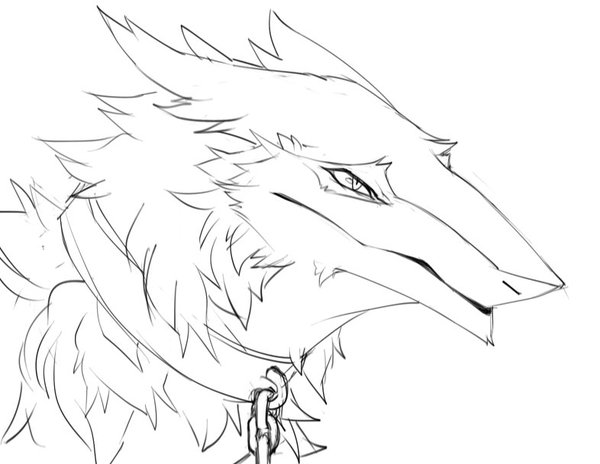 600x464 Falvie! @ Gay On Twitter Wanted To Draw A Sergal . They'Re So