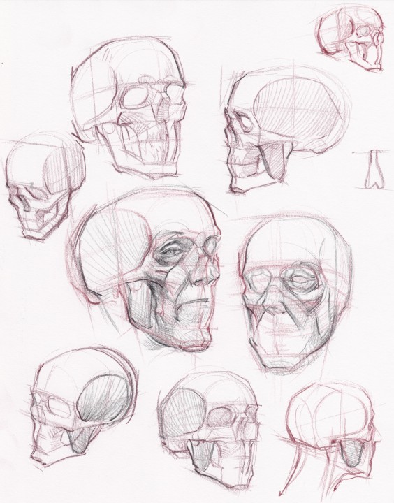 564x720 Pencil And Charcoal Sketches Genius Project