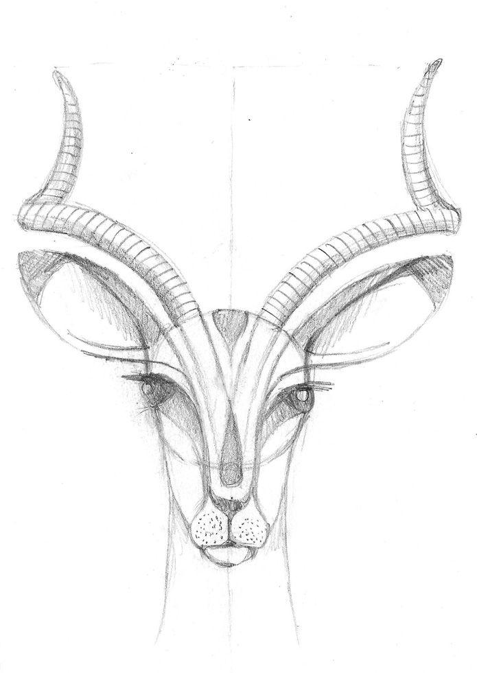 695x981 Geometric Impala Veerle's Blog 3.0