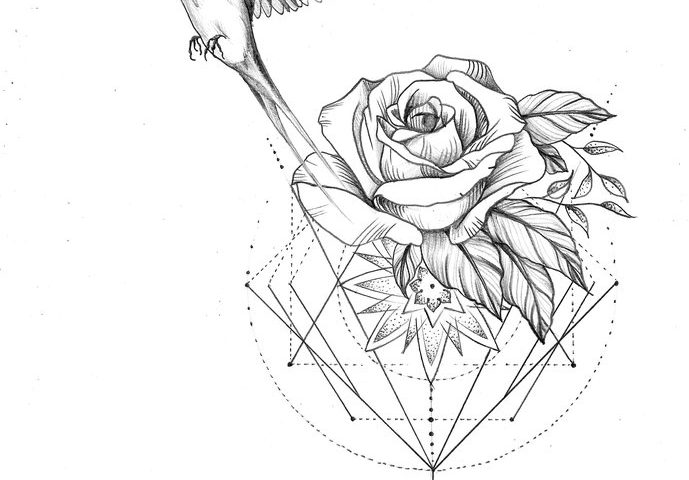 689x480 Geometric Mandala Rose Bird