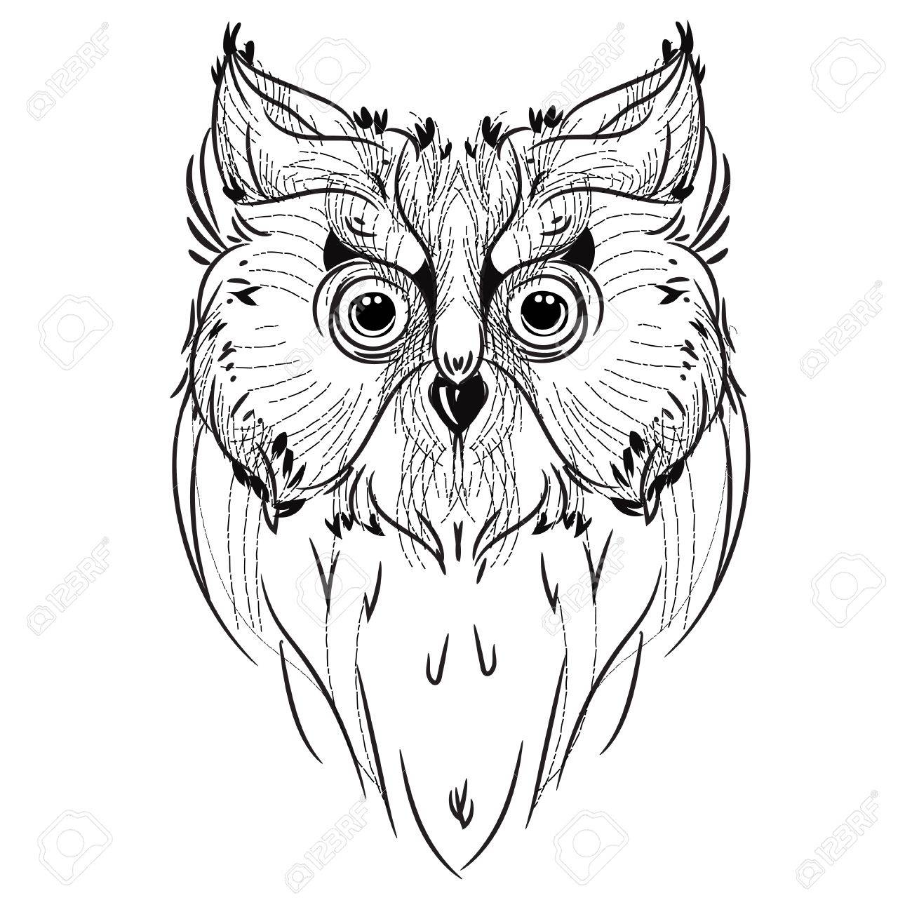 1300x1300 Bird Owl Head Front View , Geometric Trendy Line Design. Vector