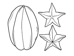 257x196 Kids Geometric Symmetry Fruit Drawing Lesson Official Blog