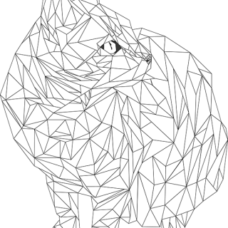 320x320 Tag For Cat Draw Shape Shape Collagethe Hectic Life Of A Fluffy