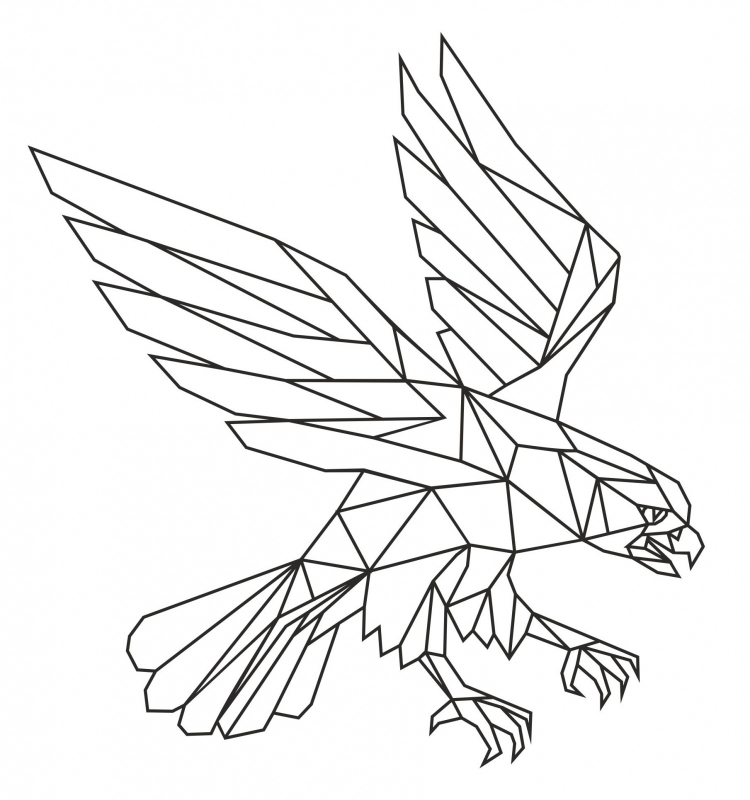 750x800 Muursticker Adelaar How To Draw String Art