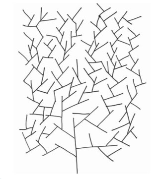 326x361 How To Draw A Geometry Tree Tangle