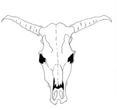 236x221 How To Draw A Cow Skull For Georgia O'Keeffe Grade 5 Ideas