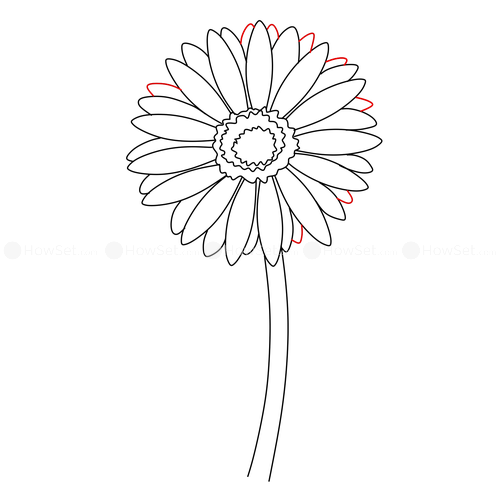 500x500 Gerbera How To Draw Flowers How To Draw