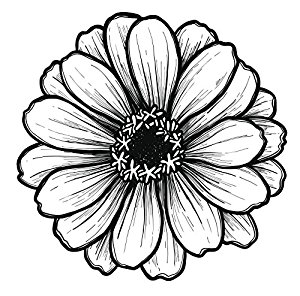 300x296 Black And White Gerbera Gerber Daisy Sketch Vinyl