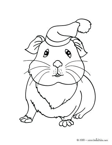 363x470 Gerbil Animal Coloring Pages Chinchilla Coloring Page Coloring
