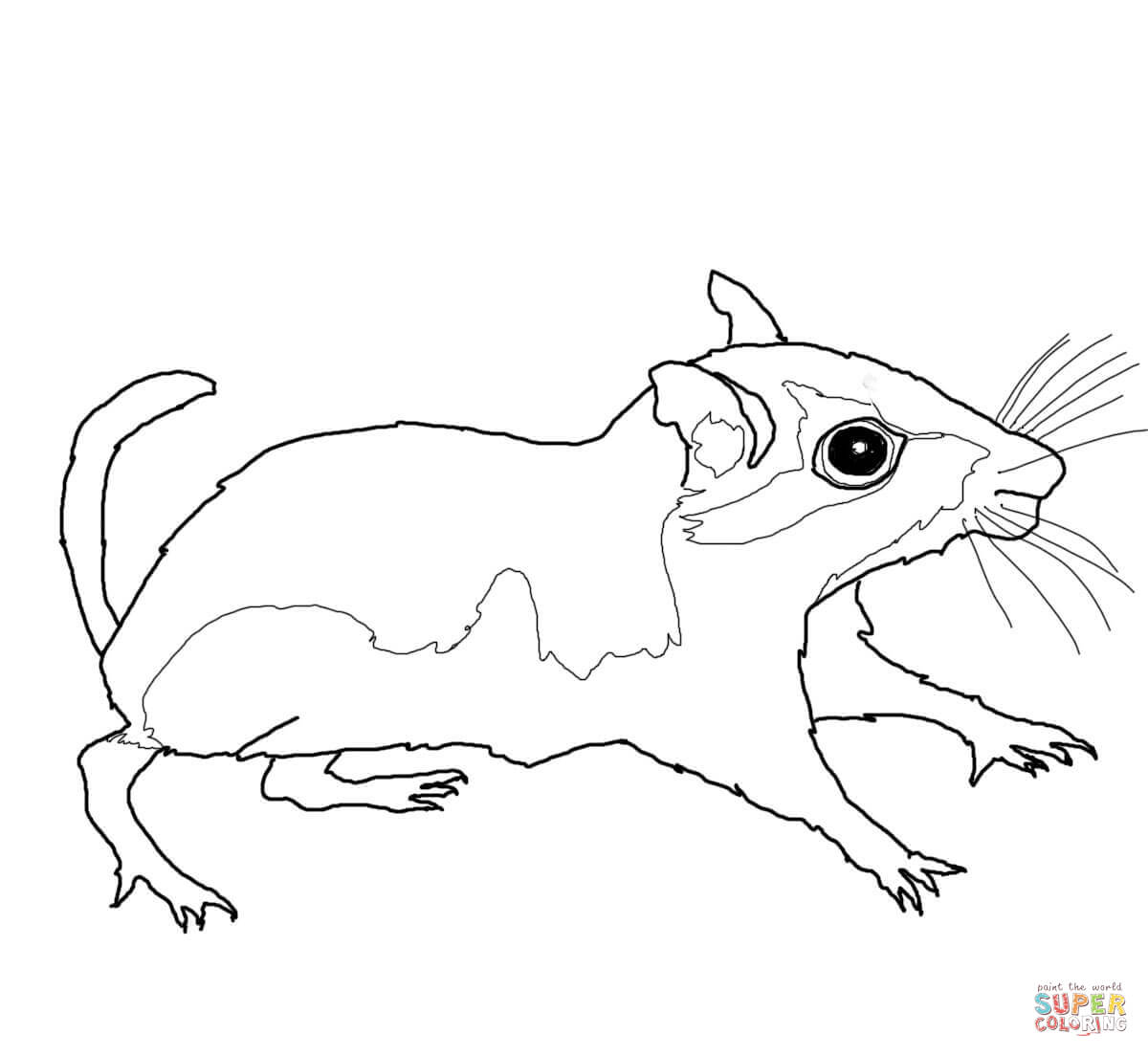 1200x1104 Gerbil Coloring Pages Free Coloring Pages