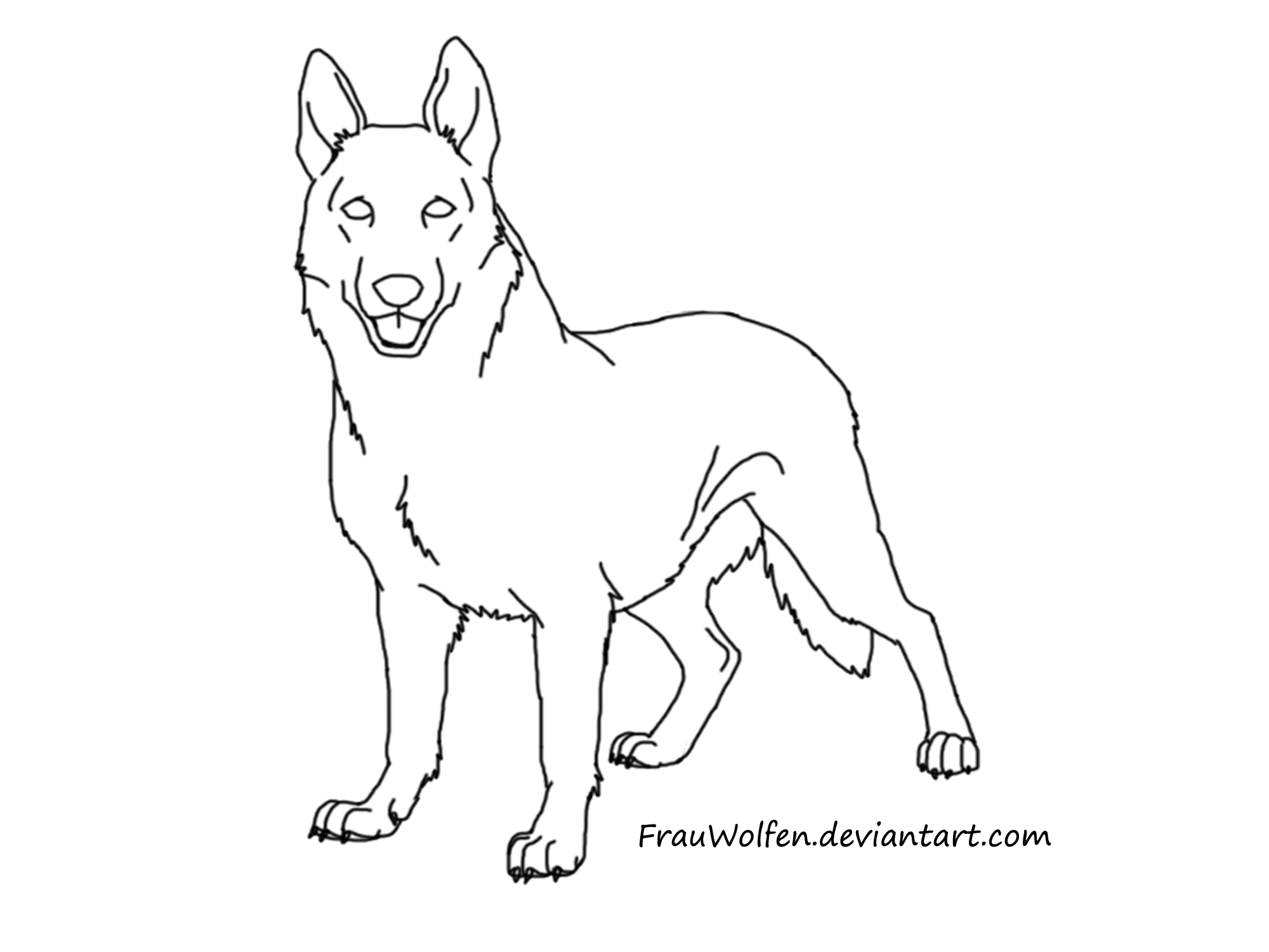 2000x1500 Amazing Drawn German Shepherd Simple Pencil And In Color Drawn