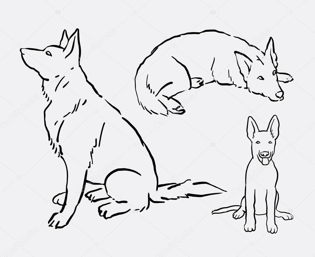 1024x835 German Shepherd Pet Dog Animal Line Art Drawing Stock Vector