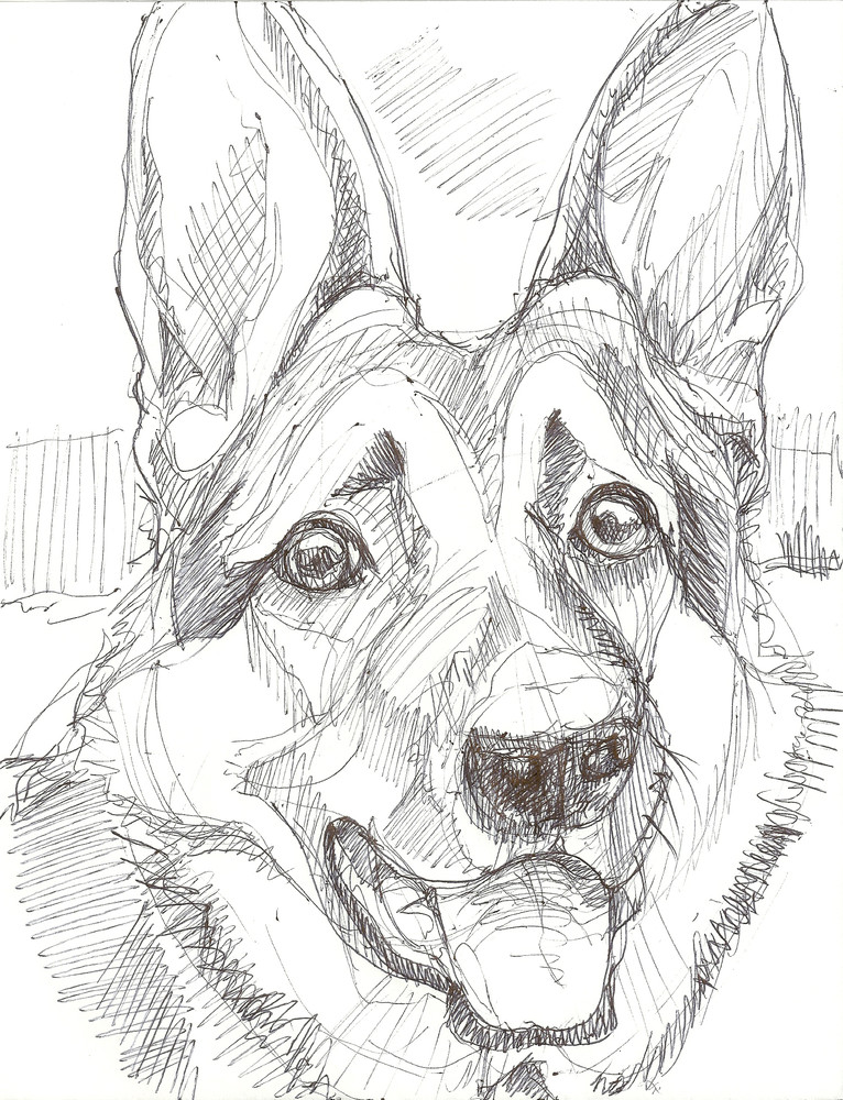 766x1000 Shepard Drawing