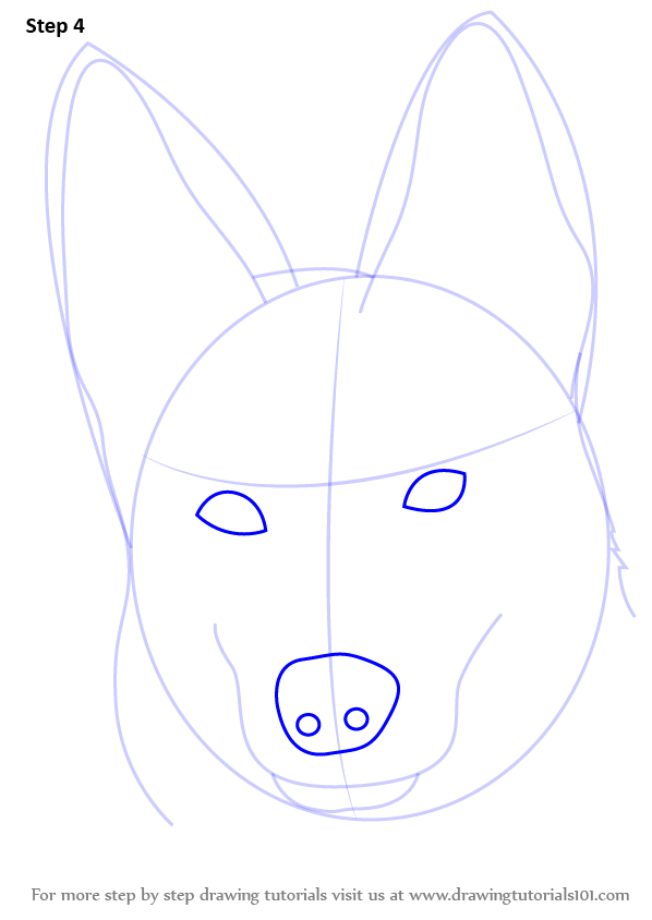 598x844 Step By Step How To Draw German Shepherd Dog Face
