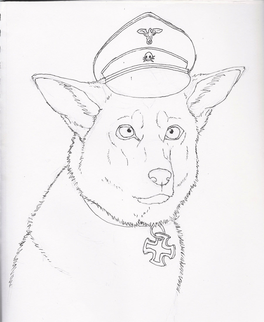 900x1099 Germanshepherd Explore Germanshepherd