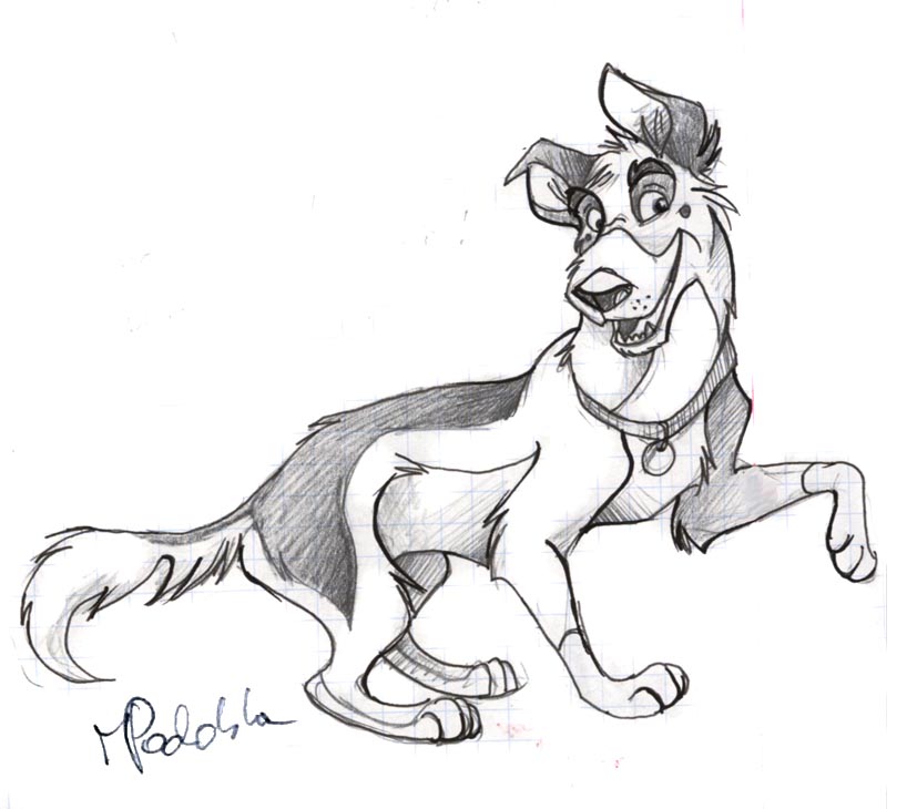 827x730 Charlie Like German Shepherd By Ishawee