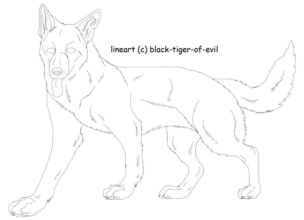 1024x740 German Shepherd Lineart By Black Tiger Of Evil