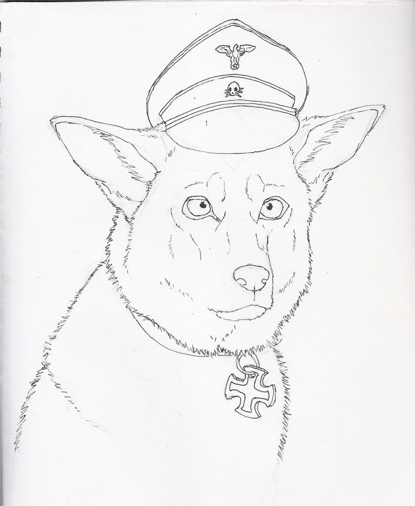 809x988 German German Shepherd Lineart By Wanton Fox