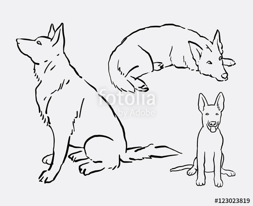 500x408 German Shepherd Pet Dog Animal Drawing. Good Use For Symbol, Logo