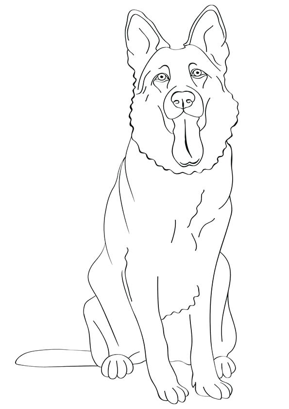 595x842 German Shepherd Coloring Pages Shepherd Coloring Pages Printable