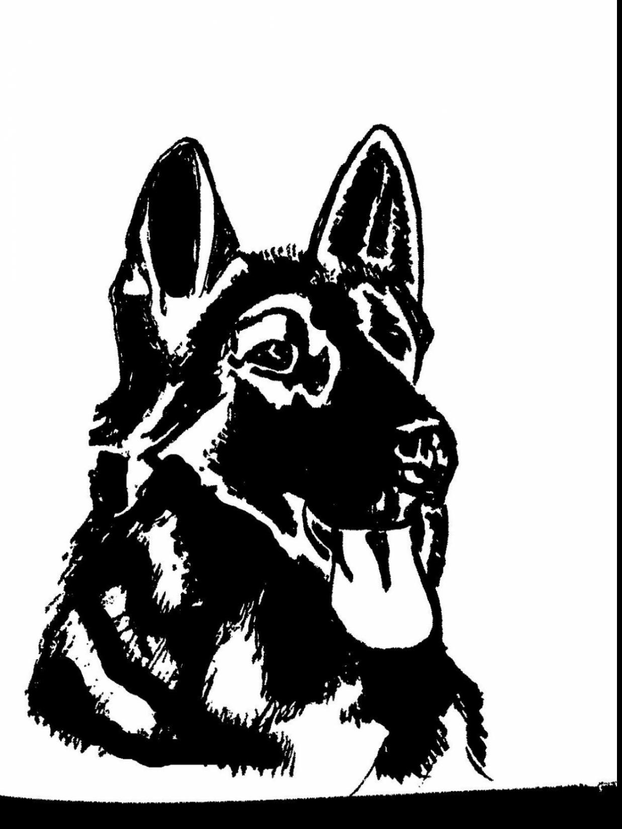 1237x1650 German Shepherd Clipart Face