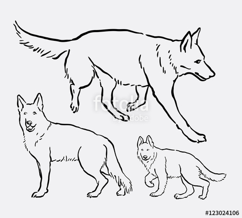 500x449 German Shepherd Pet Dog Mammal Animal Sketch. Good Use For Symbol