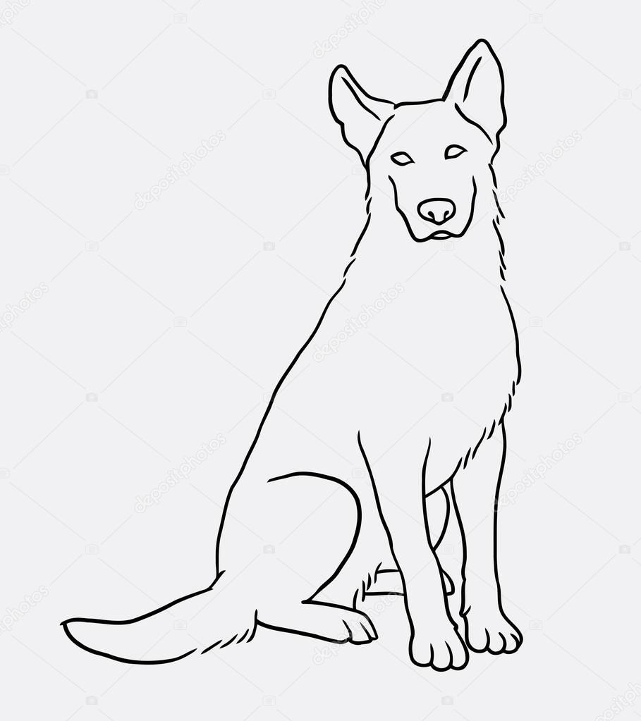 909x1023 German Shepherd Sitting Pet Dog Line Art Drawing Stock Vector