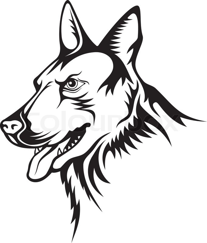 681x800 Tattoo Illustration Of German Shepherd Guard Dog Stock Vector