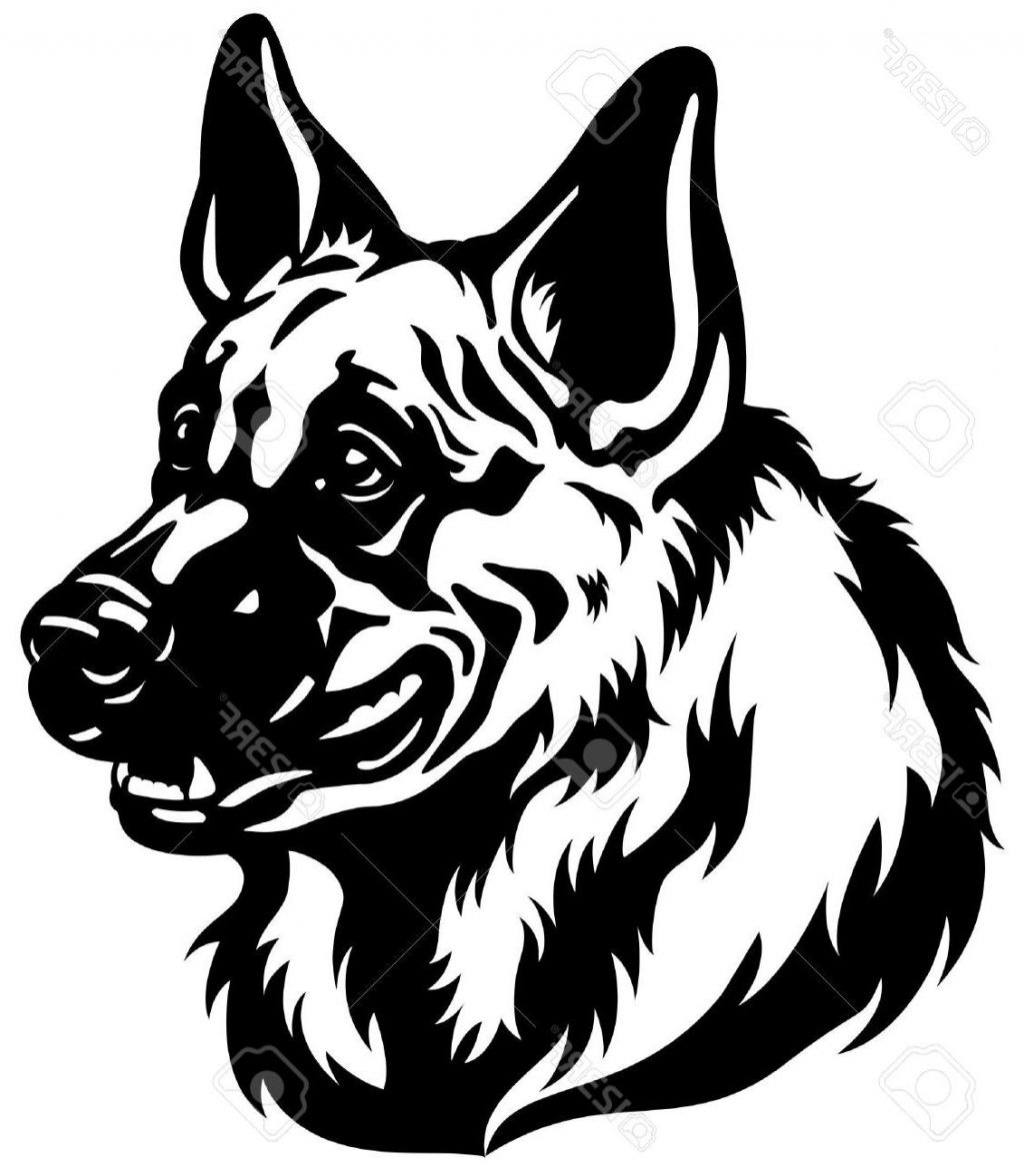 1024x1177 Top 10 Face Clipart German Shepherd Design