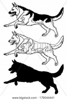 235x348 German Shepherd