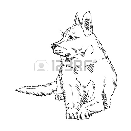 450x450 German Shepherd Cartoon Stock Photos. Royalty Free Business Images
