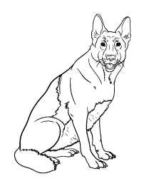 202x261 German Shepherd Coloring Page Free Download