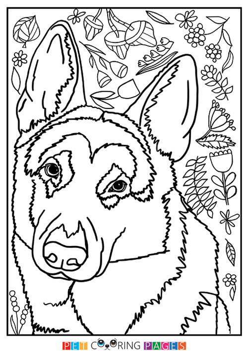 500x711 German Shepherd Dog Coloring Page