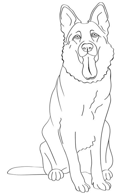 474x670 How To Draw German Shepherd Dog Face Printable Step By Step