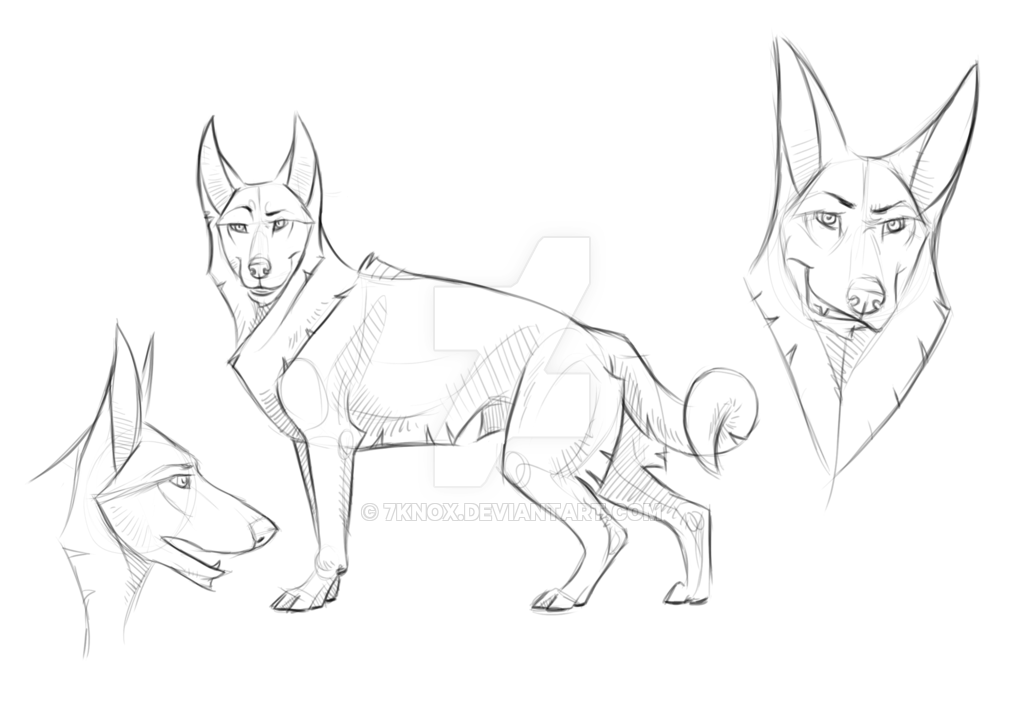 1024x724 Male In German Shepherd Style