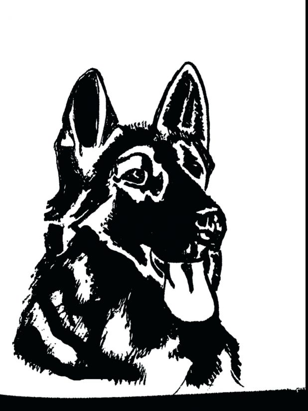 618x824 Shepherd By Realistic German Coloring Pages Puppy Printable Cute