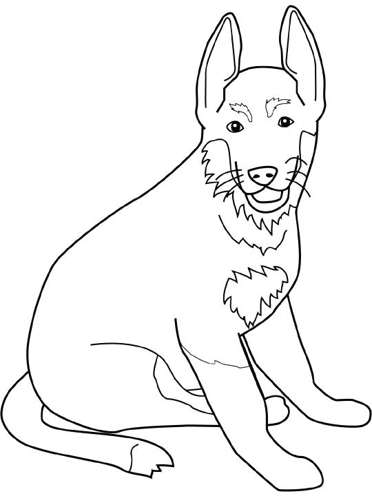 540x720 Excellent German Shepherd Coloring Page Free Download Dog Color