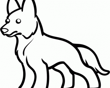 370x297 German Shepherd Archives