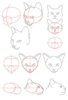 236x344 How To Draw German Shepherd Dog Face Printable Step By Step