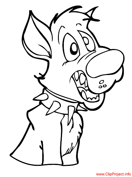 453x604 German Shepherd Puppies