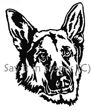 350x423 German Shepherd 4