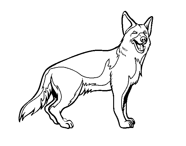 600x470 German Shepherd Coloring Page