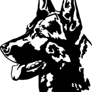 300x300 Vom Berk Haus German Shepherds On Pickapaw