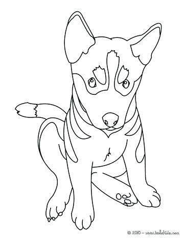 364x470 German Shepherd Coloring
