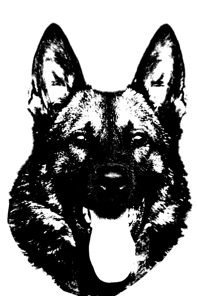 683x1024 Black And White K9 Head (German Shepherd) K9 Training Den
